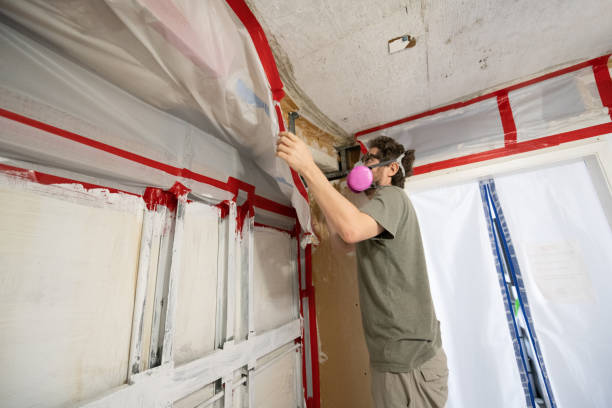 Best Water Damage & Mold Remediation  in Tri Lakes, IN