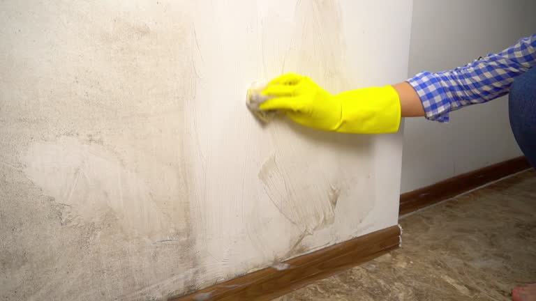 Best Mold Remediation for Healthcare Facilities  in Tri Lakes, IN