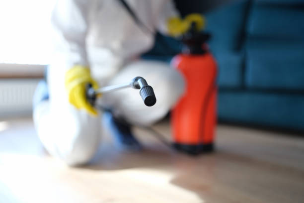  Tri Lakes, IN Mold Removal Pros