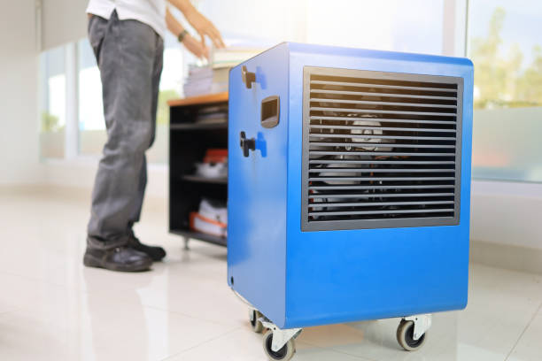Best Mold Damage Restoration  in Tri Lakes, IN