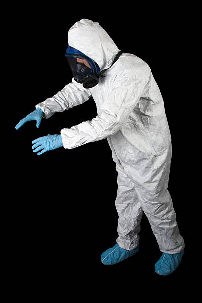 Best Black Mold Removal  in Tri Lakes, IN