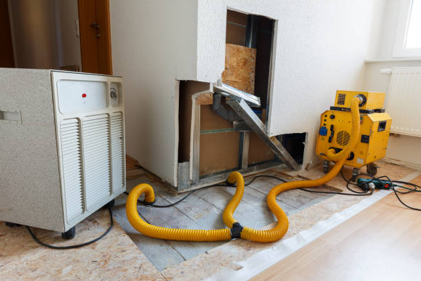 Professional Mold Removal in Tri Lakes, IN